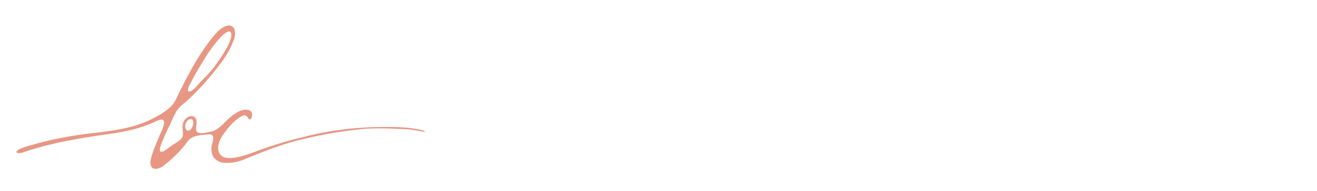 Bárbara Cravo — Web Developer